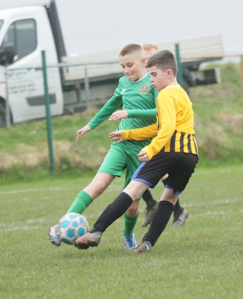 Other image for Local primary school picks up even more trophies